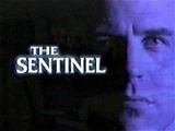 Sentinel, The (1996)