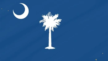 South Carolina flag
