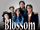 Blossom (1990)