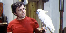 Baretta1975