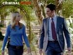 Perennials