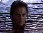 Xena 3.7