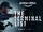 Terminal List, The (2022)