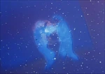 Star-trek tos-season1-27