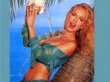 Playboy Wet & Wild: Hot Holidays (1995)