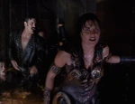 Xena 3.19