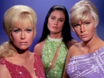 Star-trek tos-season1-6