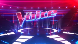 The Voice2011