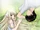 Chobits (2002)