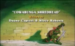 Cowabunga Shredhead-TMNT2k3