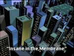 Insane in the Membrane-TMNT2k3
