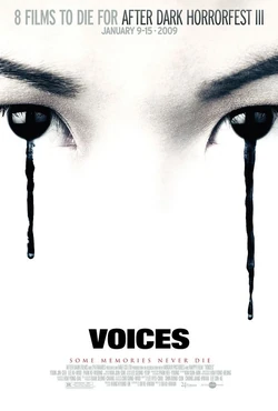 Voices2007