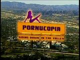Pornucopia: Going Down in the Valley (2004)