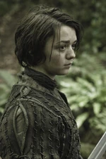 Valar Dohaeris