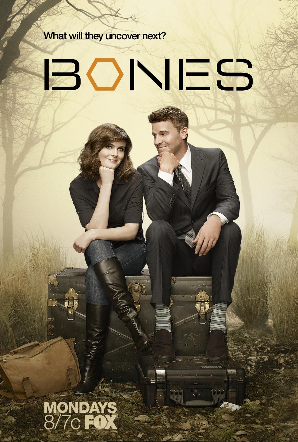 Bones (TV series) visual data 6