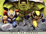 Hulk Vs. (2009)