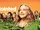 Disjointed (2017)