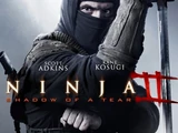 Ninja II: Shadow of a Tear (2013)