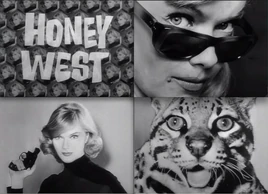 Honey West1965