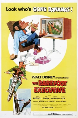 The Barefoot Executive1971
