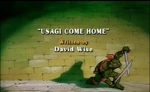 Usagi Come Home-TMNT2k3