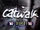 Catwalk (1992)