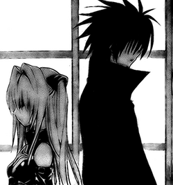 To love ru  Black cat anime, Anime, To love ru