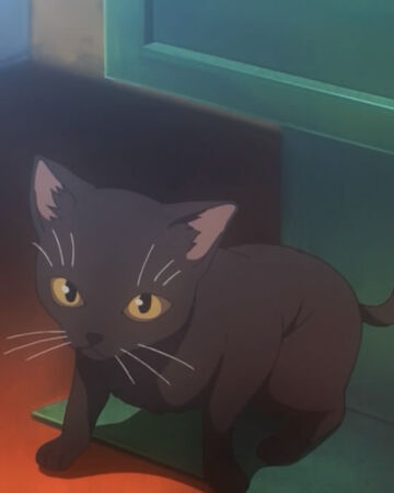 御坂号的猫 某魔法的禁书维基 Fandom 御坂号的猫 某魔法的禁书维基 Fandom