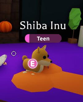 Shiba Inu, Adopt Me! Wiki