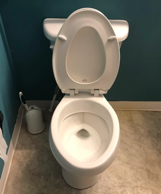 Crane Atlas Elite Toilets and Urinals Wiki Fandom