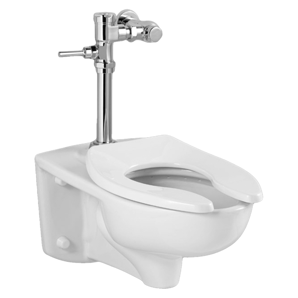 https://static.wikia.nocookie.net/toilets/images/4/42/2856128020-afwall-everclean-toilet-with-exposed-manual-flush-valve-system.png/revision/latest?cb=20200301015653