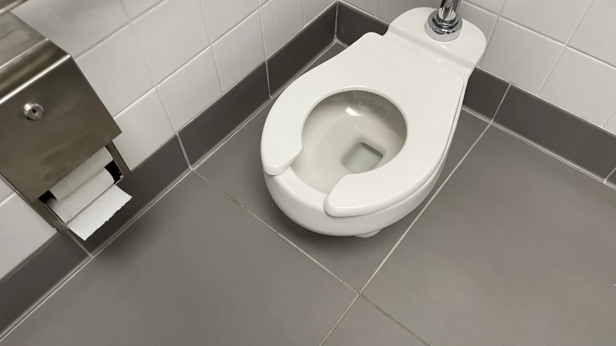 American Standard Baby Devoro Toilets and Urinals Wiki Fandom