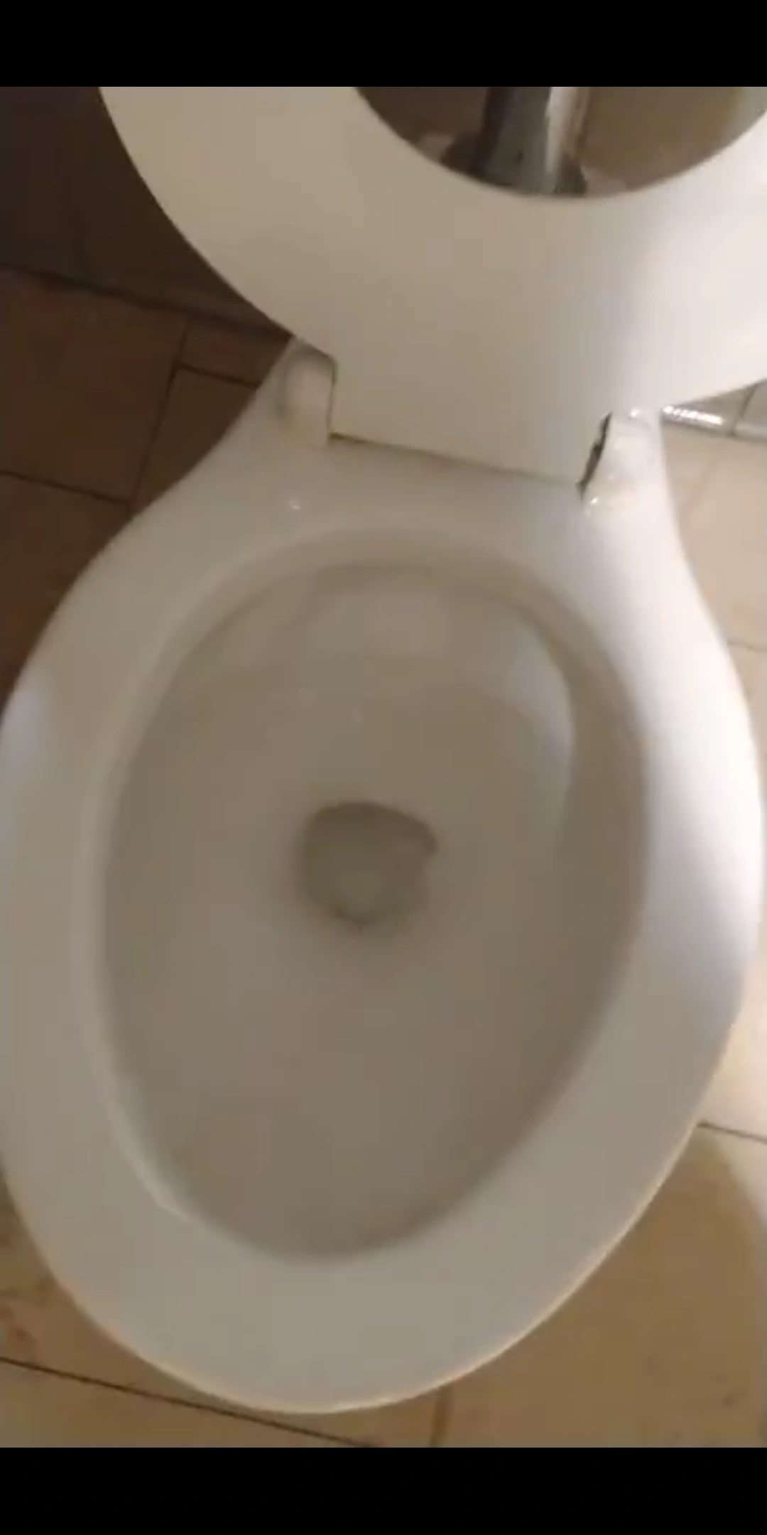 Eljer Kindergarten Toilets and Urinals Wiki Fandom