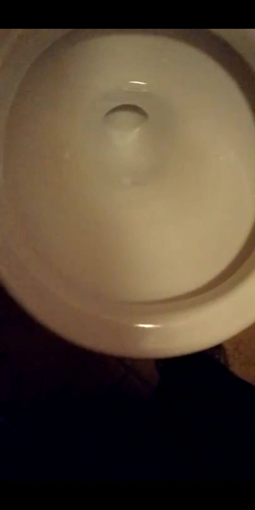 Mansfield Alto Toilets and Urinals Wiki Fandom