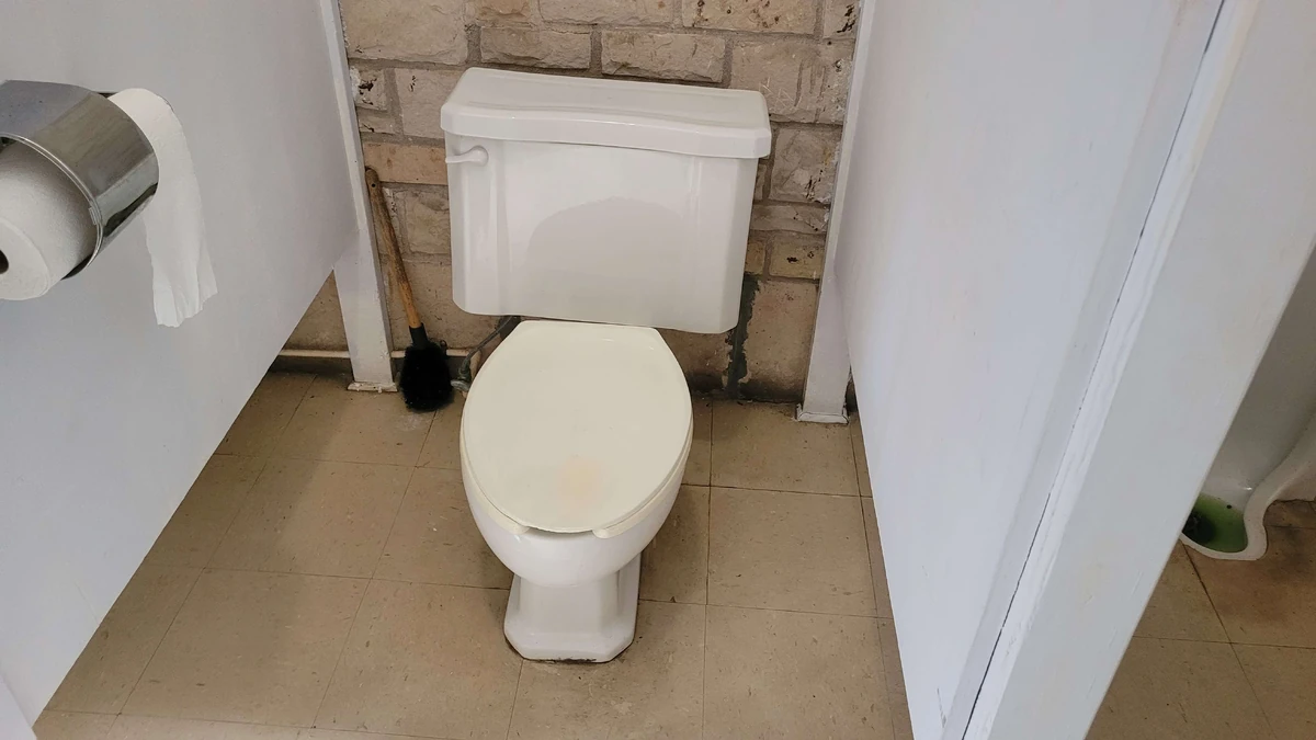 Kohler Bolton Toilets and Urinals Wiki Fandom