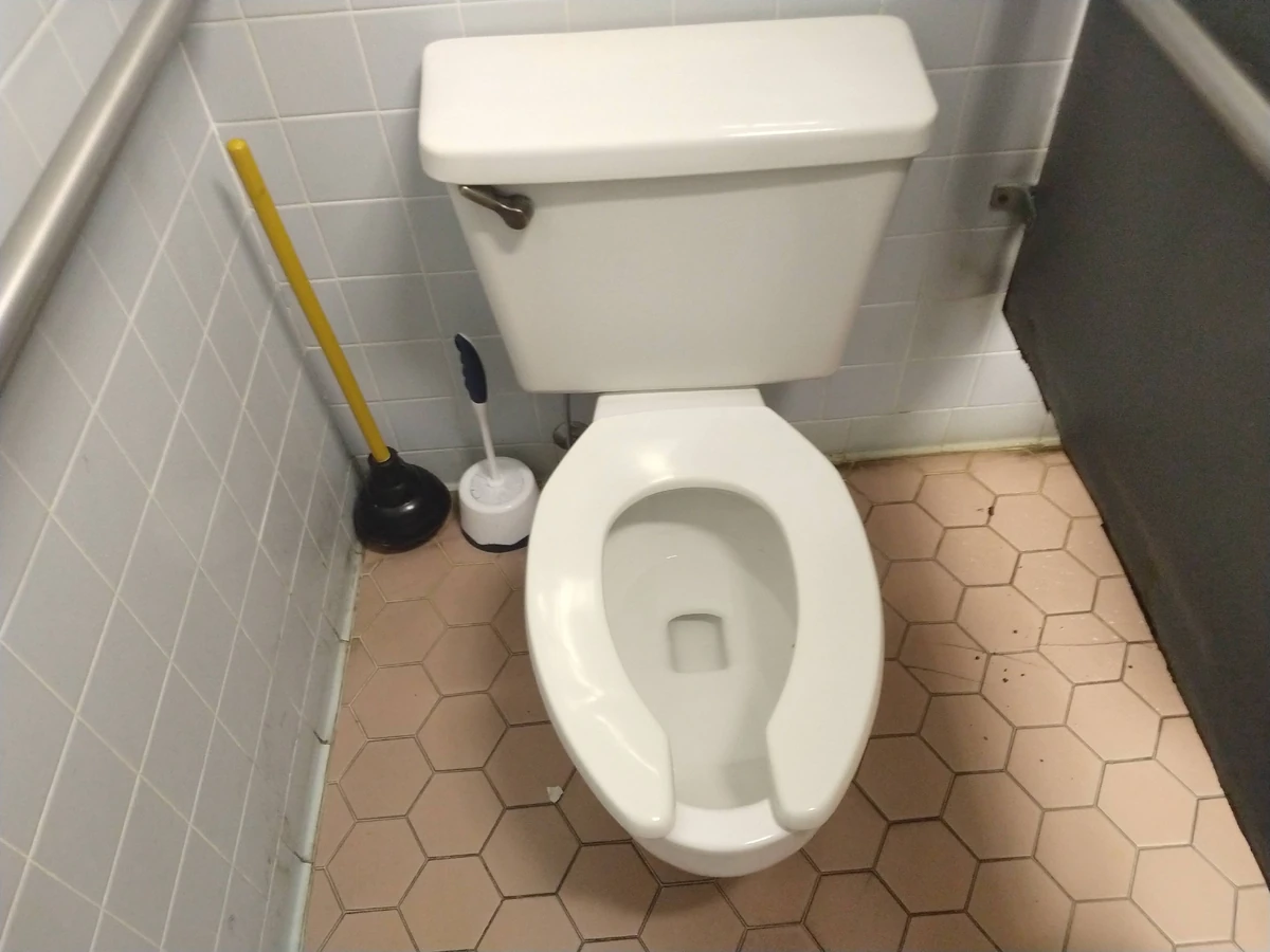 Briggs Conserver Toilets and Urinals Wiki Fandom