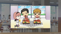 Tokimeki Memorial Girl's Side DAYS | Tokimeki Memorial