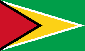 Flag of Guyana