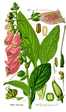 kasi Sikitali Pupulewa.jpeg (680 KB)