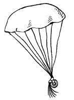 para.png