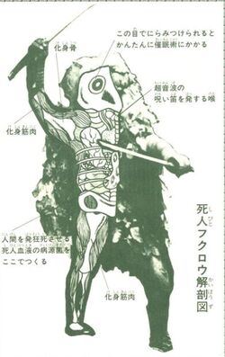 Anatomy Other Series Tokupedia Fandom Anatomy Other Series Tokupedia Fandom