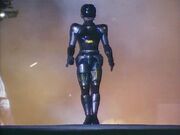 The LadyBattleCop