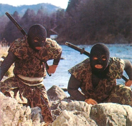 Blood Wheel Clan Ninjas