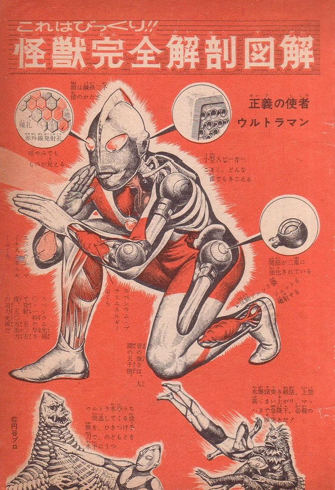 Anatomy | Tokupedia | Fandom
