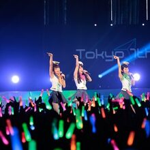 Tokyo 7th Sisters 1st Anniversary Live Wikia Tokyo 7th Sister Fandom