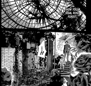 Los jardines de rosas.