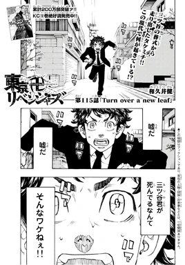 Chapter 115