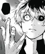 Sasaki's kakugan.