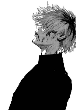 Tokyo Ghoul, black, ghoul, kaneki, tokio ghoul, white, HD phone