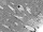 Cellule Rc